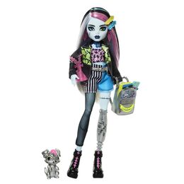 Кукла Monster High Monster Frankie Stein Монстер Хай Френки Штейн HXH73